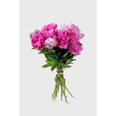 Pink Passion